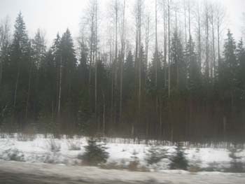 S_Pb_2009 (45)